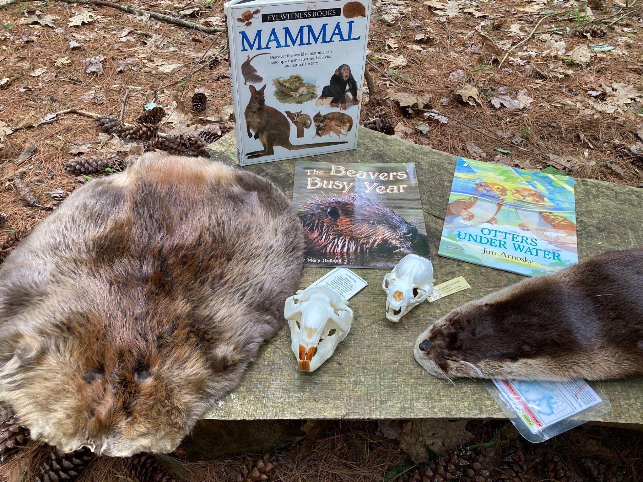 Story time outdoors