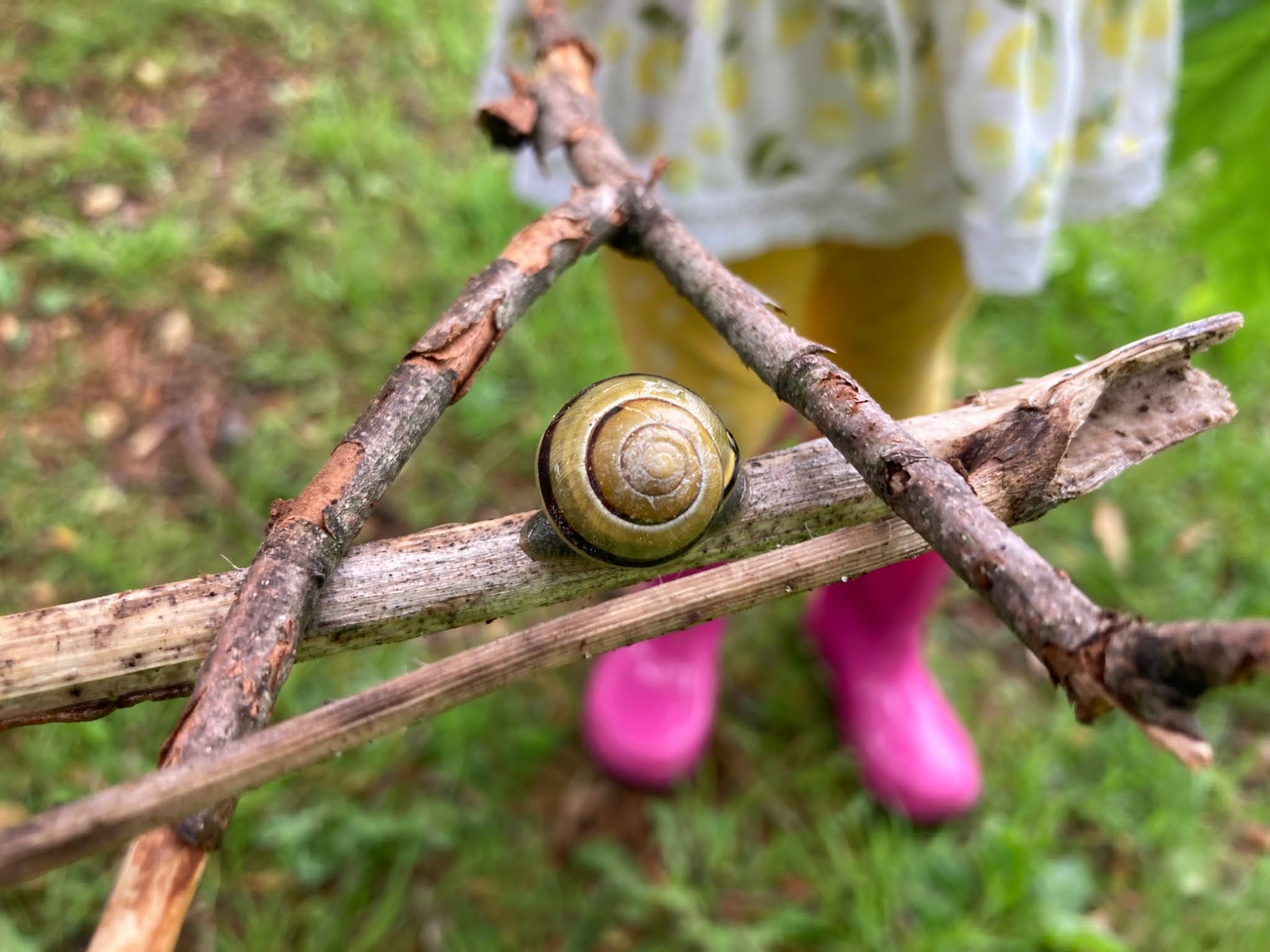 Parent and child exploring nature together at Osamequin Farm